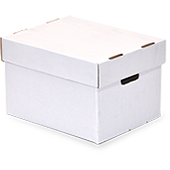 Moving Packing